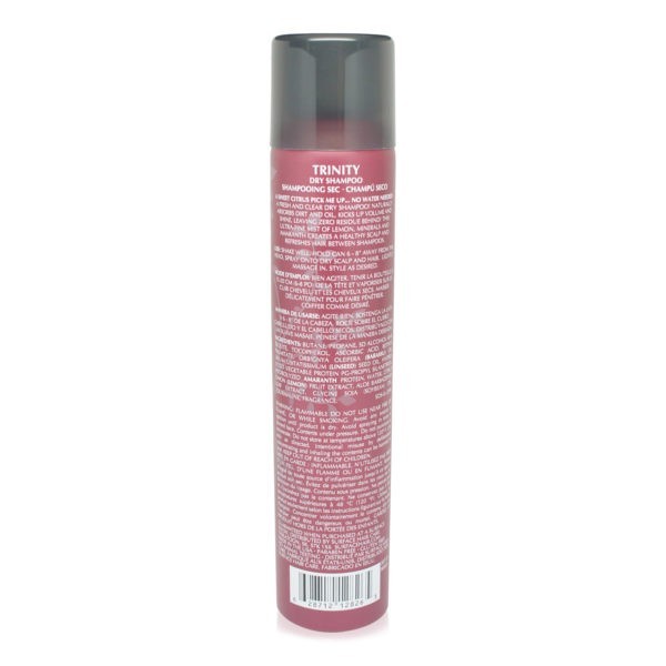 Surface Trinity Dry Shampoo 5 Oz