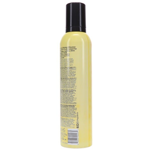 Agadir Volumizing Styling Mousse 8.5 oz