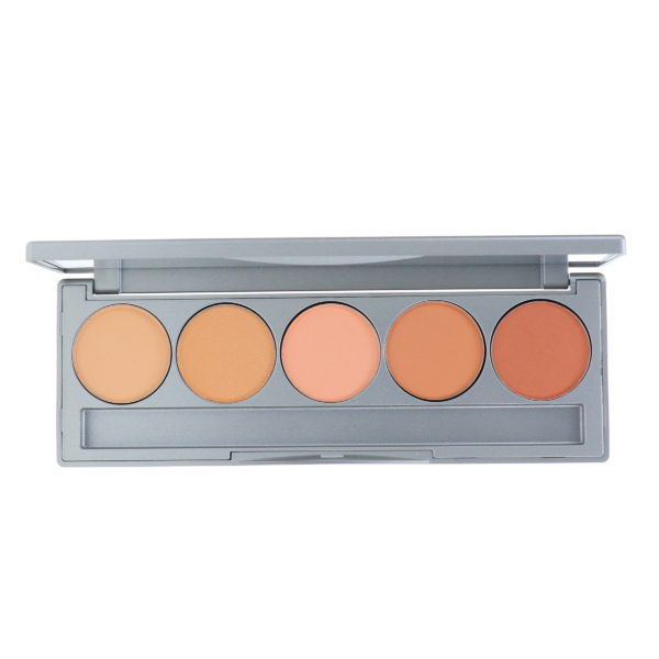 Colorescience Pro Mineral Corrector Palette