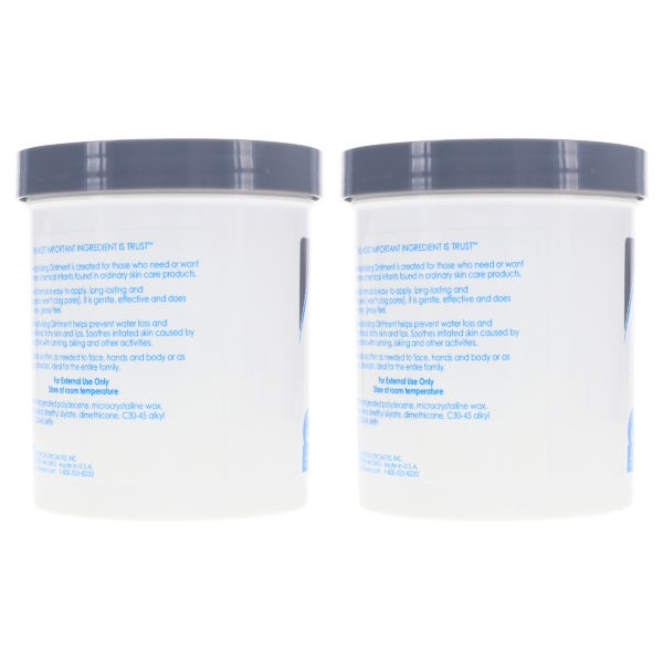 Vanicream Vaniply Ointment 13 oz 2 Pack